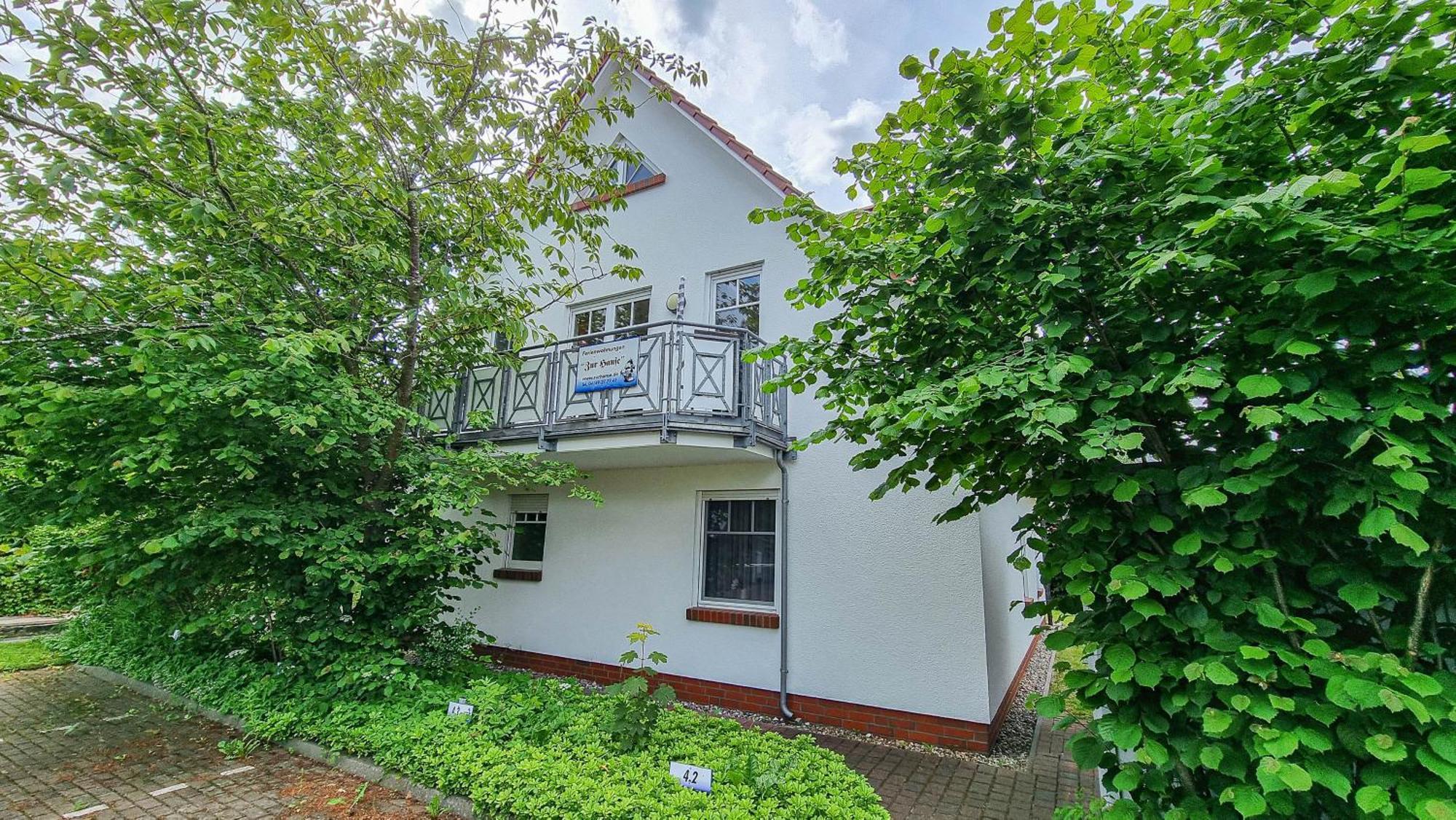 Zur Hanse Wohnung 1 3 - Lingnau 青斯特 外观 照片